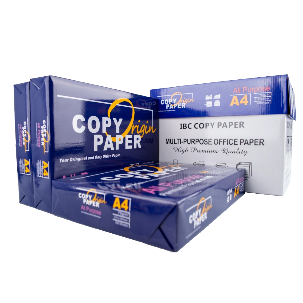 Papier de copie au format A4 70 g/m² pour les entreprises
