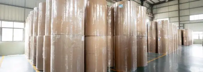 Rouleaux de papier thermique sans BPA